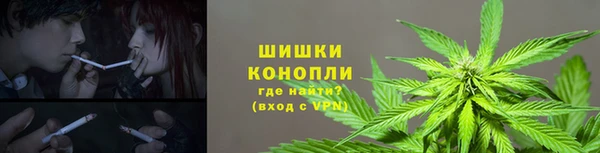 молекула духа Аркадак