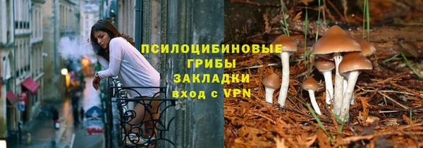 молекула духа Аркадак