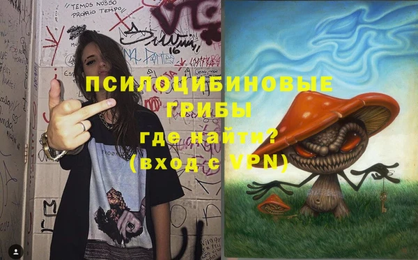 молекула духа Аркадак